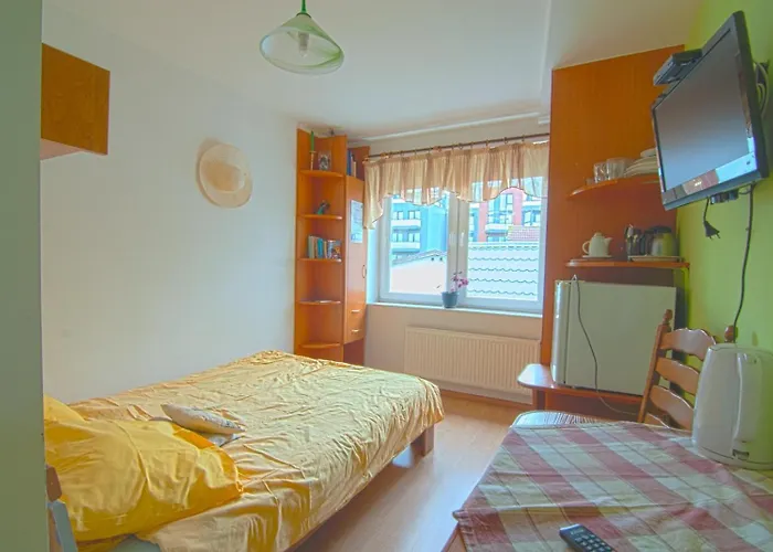 Wynajem Apartamentow I Pokoi. *